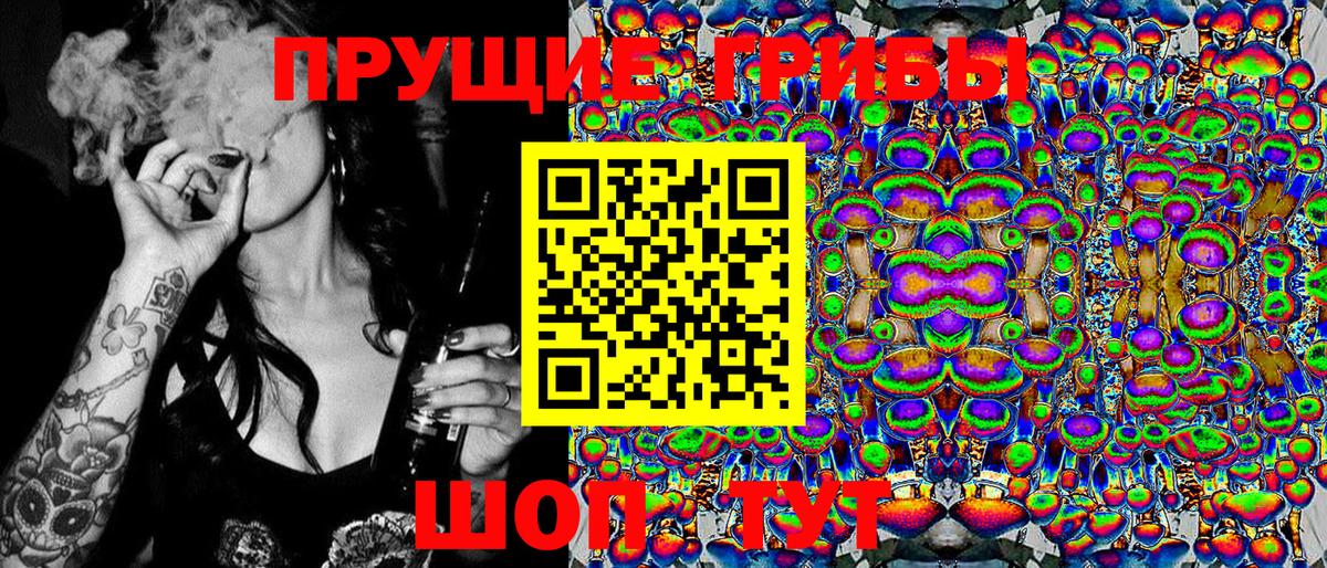 Псилоцибиновые грибы Cubensis  Вход с VPN  Уварово 